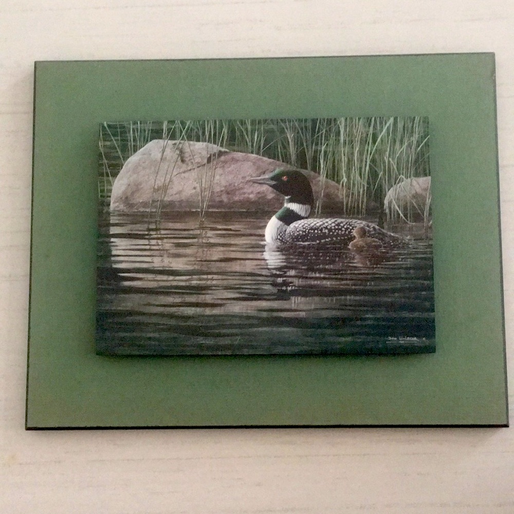 Vintage Signed Don Li-Leger Print - Loon with Chick